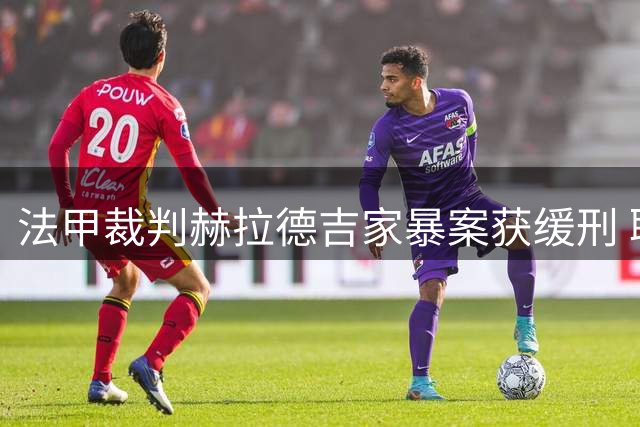 法甲裁判赫拉德吉家暴案获缓刑 职业生涯或受影响